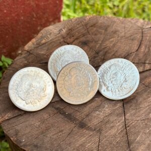 Monedas de Patacones