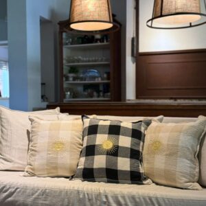 Almohadon Sol Patrio Cuadros  III