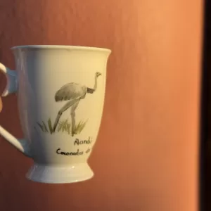 Taza Ñandu I