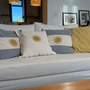 Set Patrio Almohadones x 3