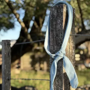 Pañuelo Celeste Pesado