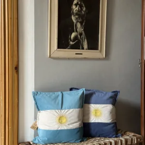 Almohadon Argentina Pana Celeste