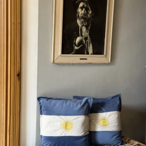 Almohadon Argentina Pana Azul